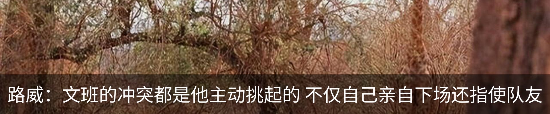 内页banner